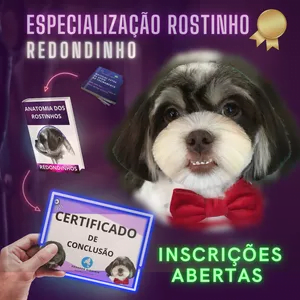 Rostinho Perfeito Tosa em cães de raças pequenas Eduardo Groomer 2 Rostinho Perfeito