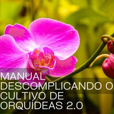 Manual-Descomplicando-o-Cultivo-de-Orquideas-2.0-1 ebook Descomplicando o Cultivo de Orquídeas 2.0