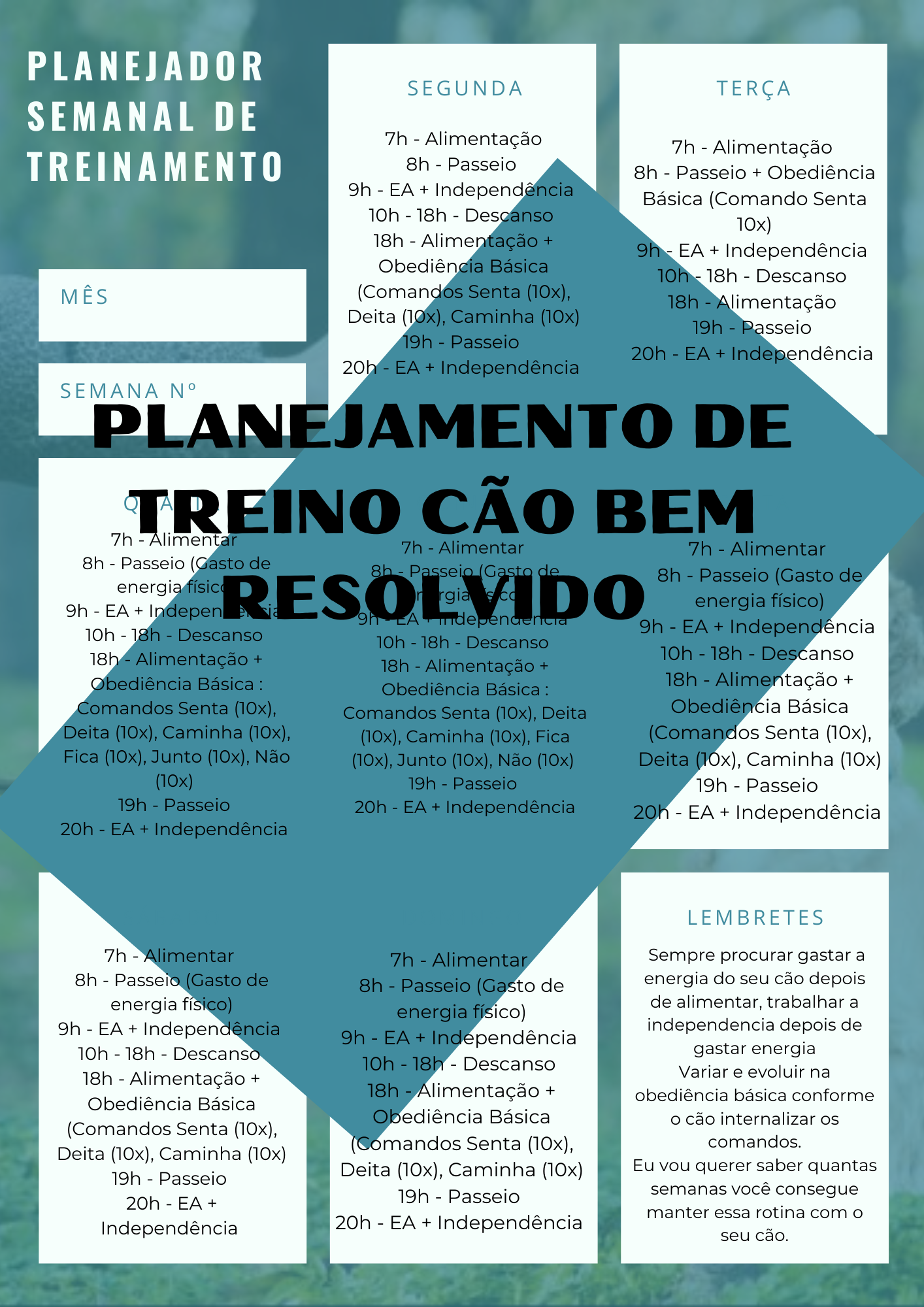 https://livropdf.com.br/ler/W22315763O